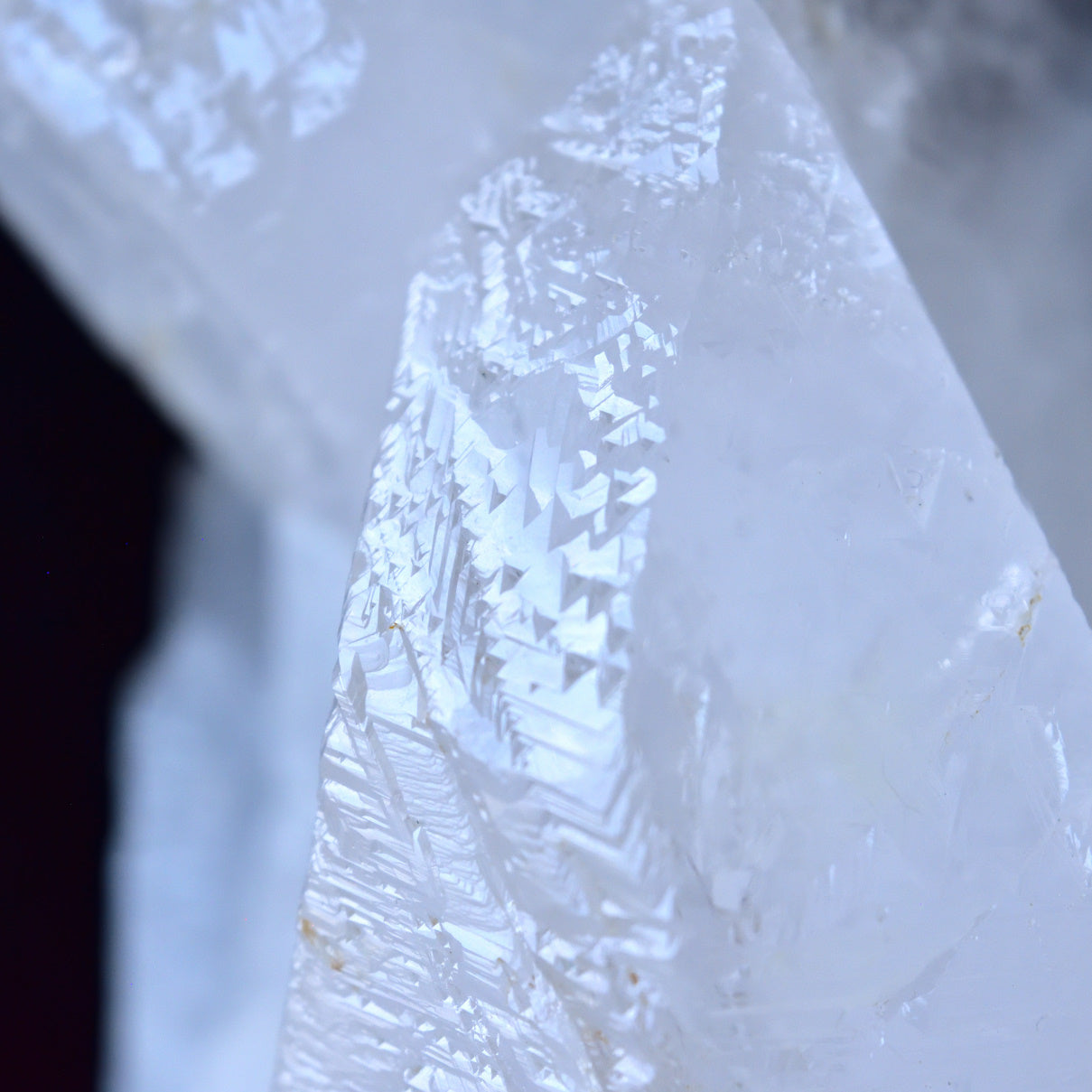 Crystal Sign　サイン