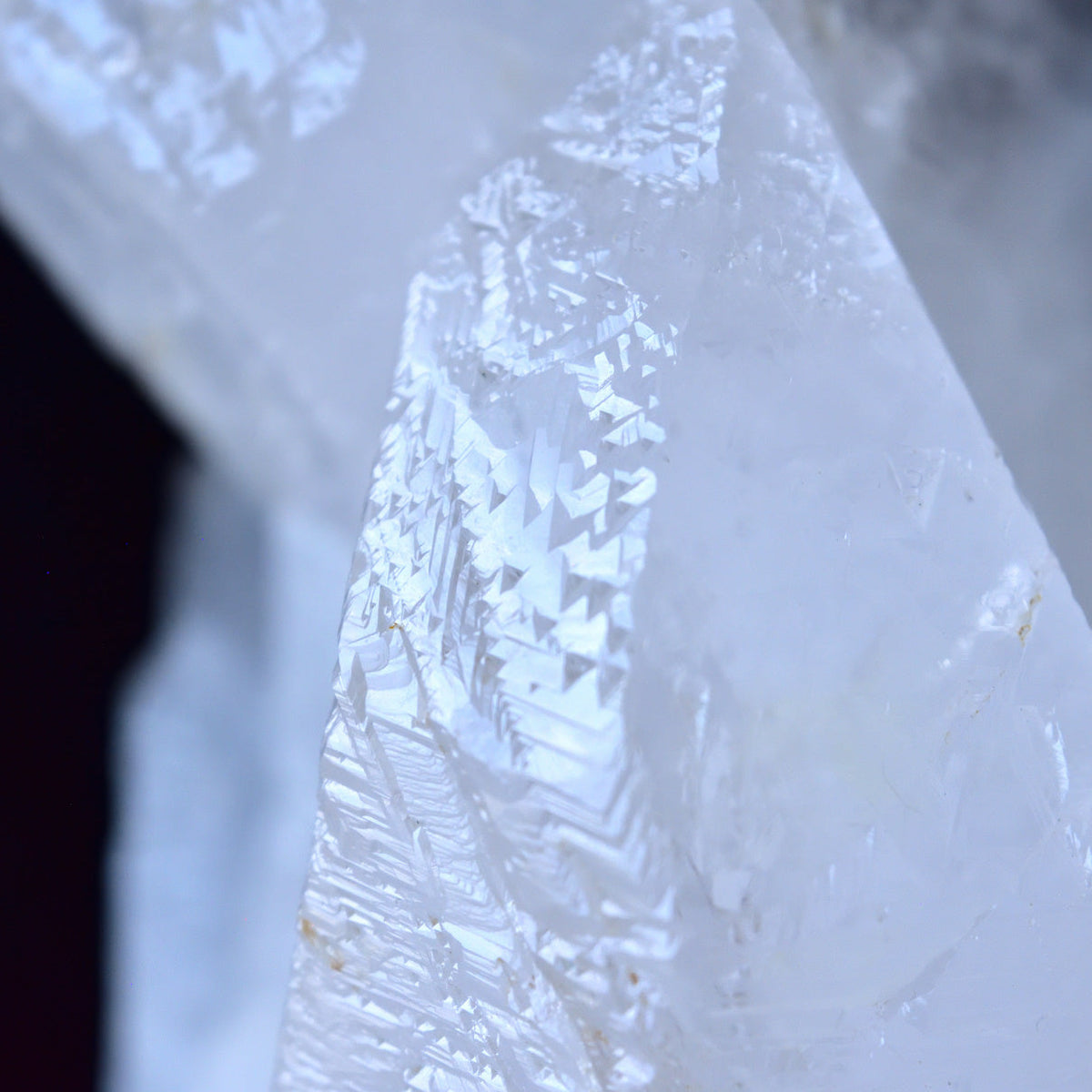 Crystal Sign　サイン