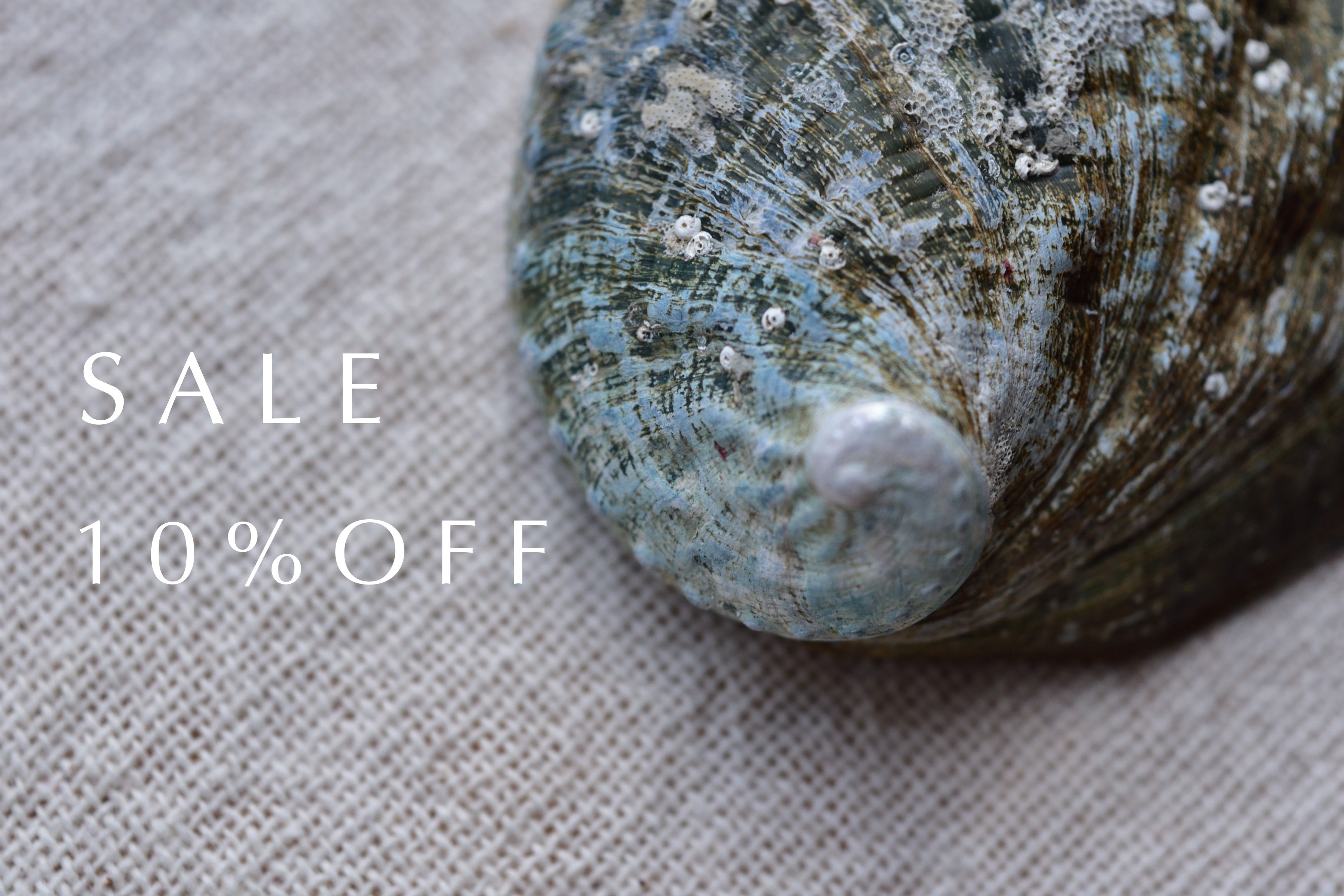 SUMMER END SALE