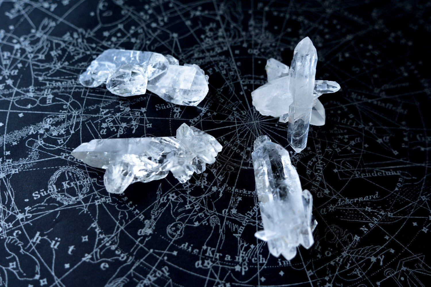 スターブラリー/スターシード