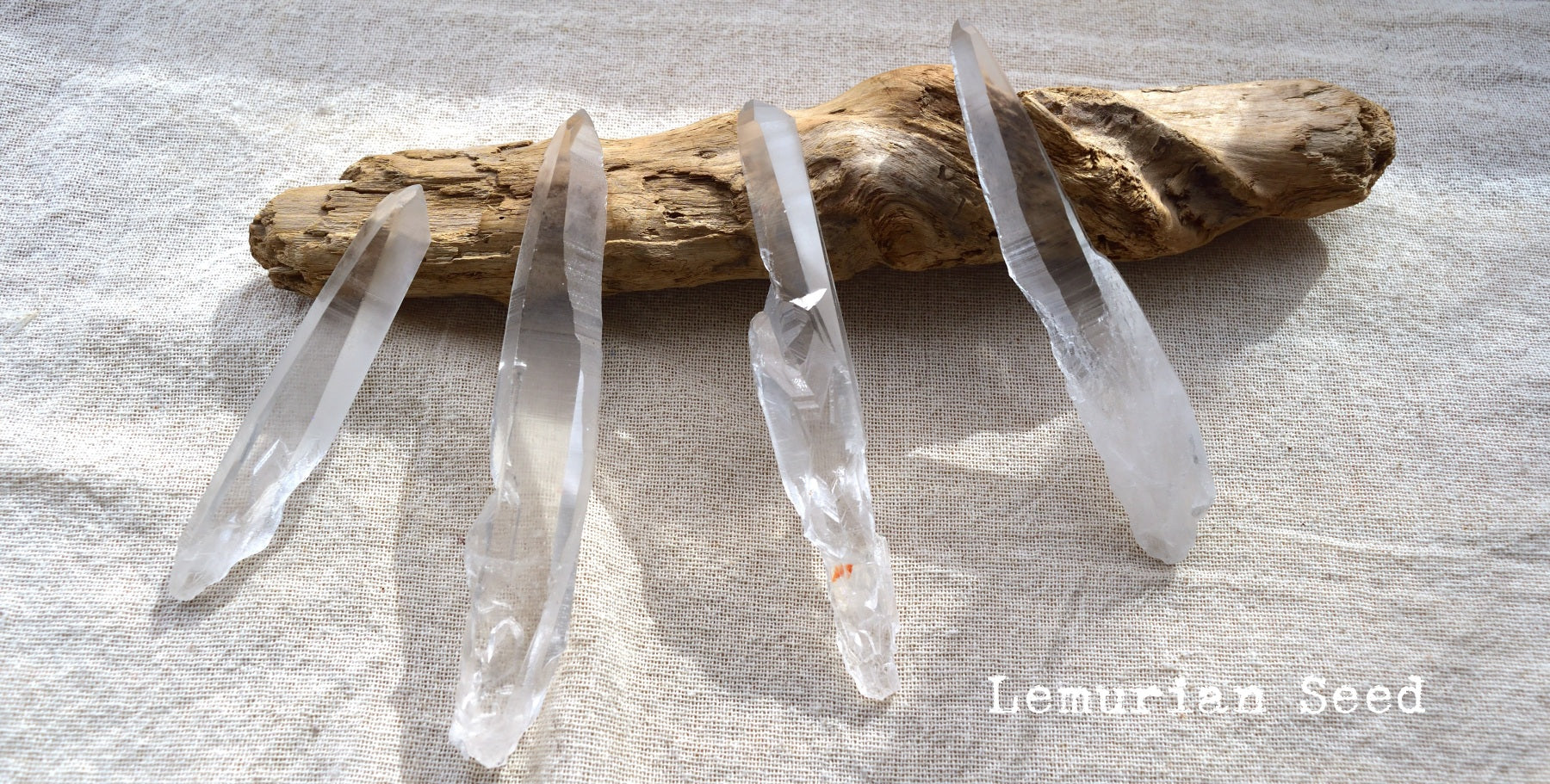 レムリアの叡智と、地球のガーデンが宿るクリスタルスカル Lemurian Seed BAHIA – Cathedral Cave