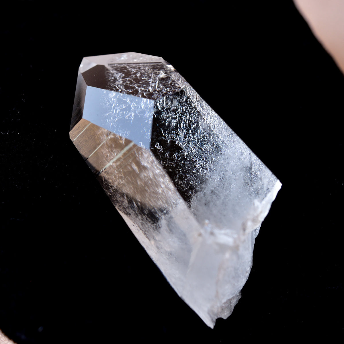 ウィンドウ・タイムリンク