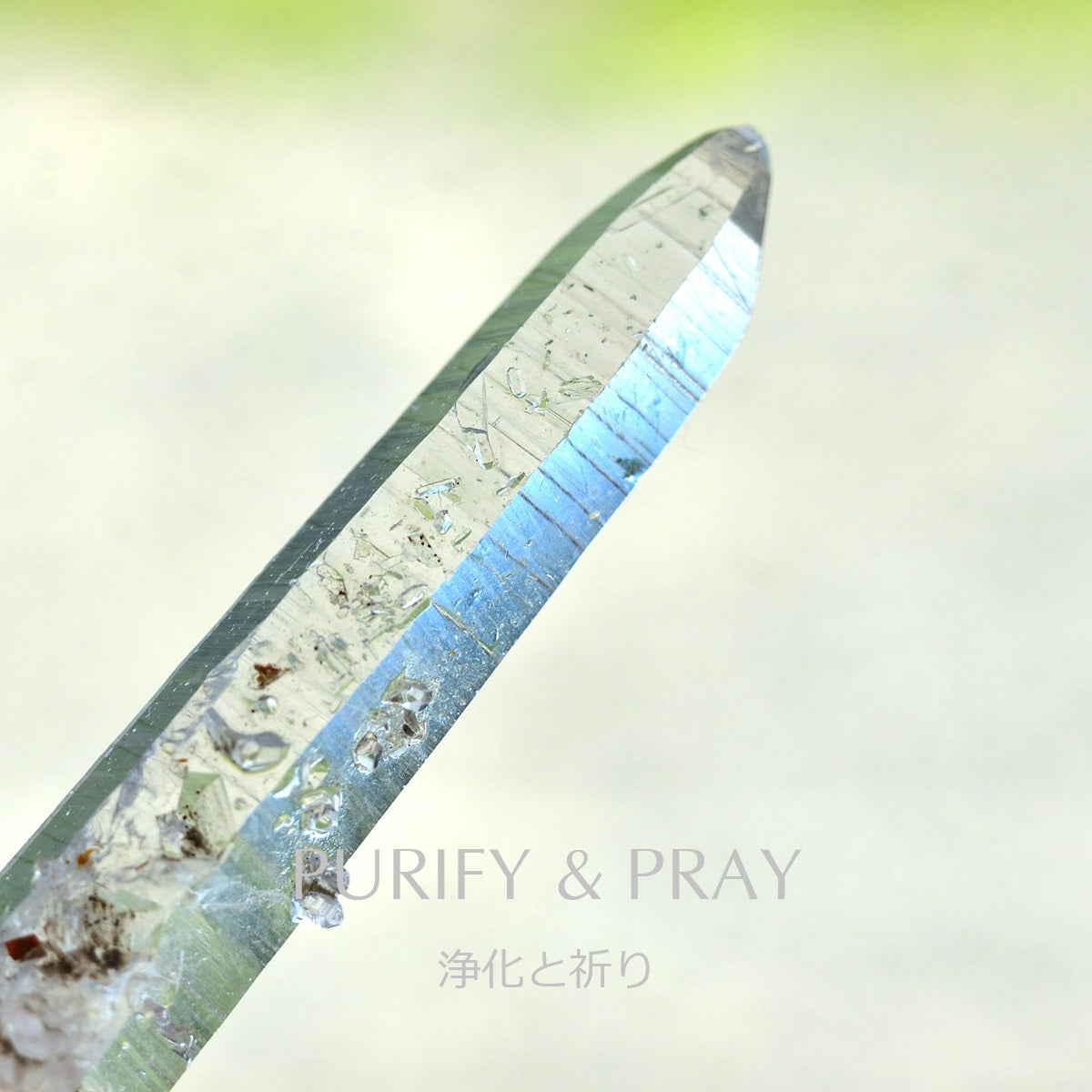 Purify & Pray
