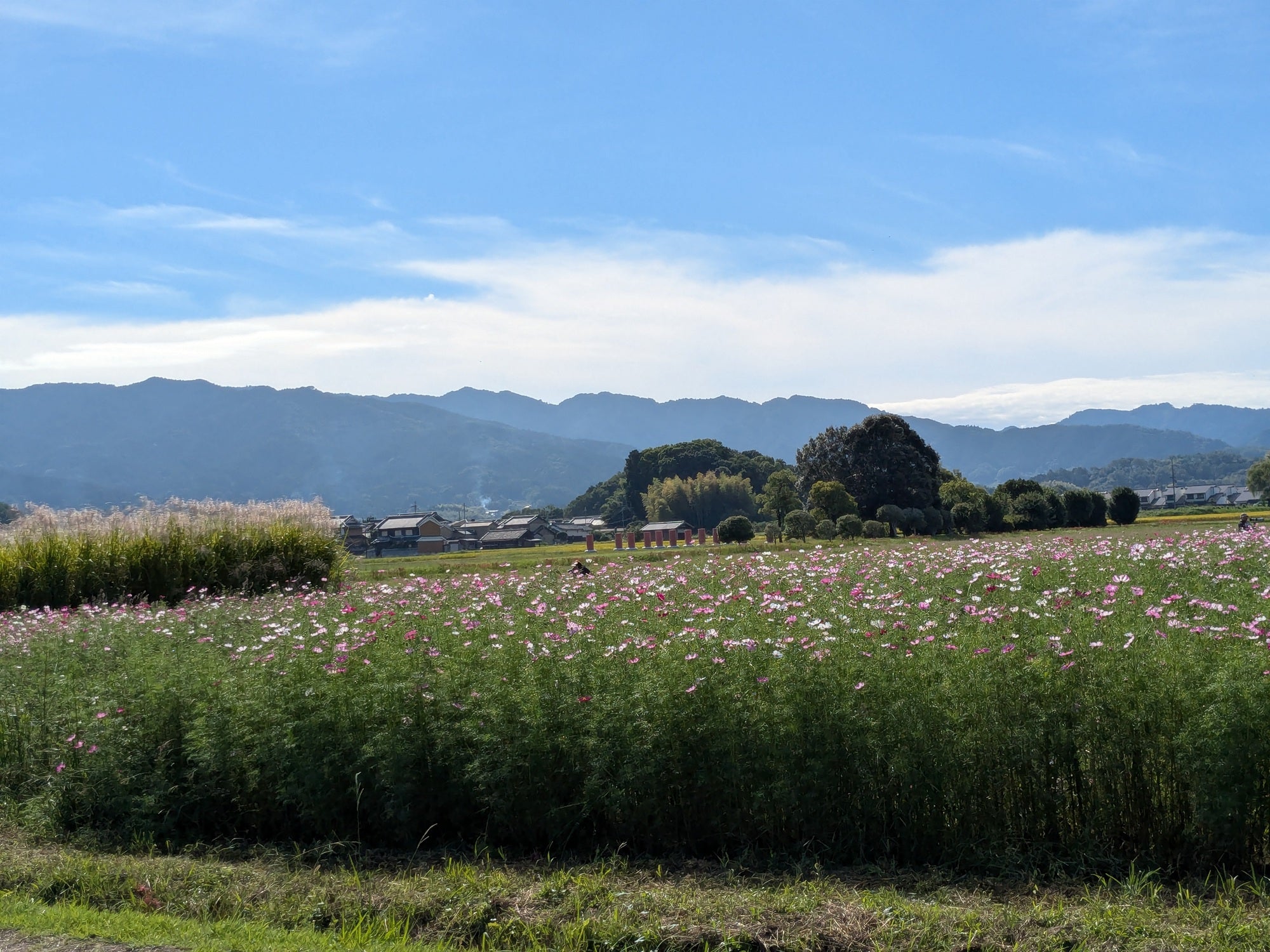 日本