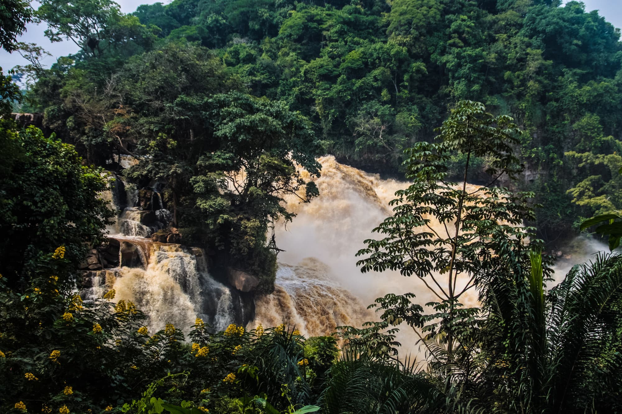 コンゴ民主共和国