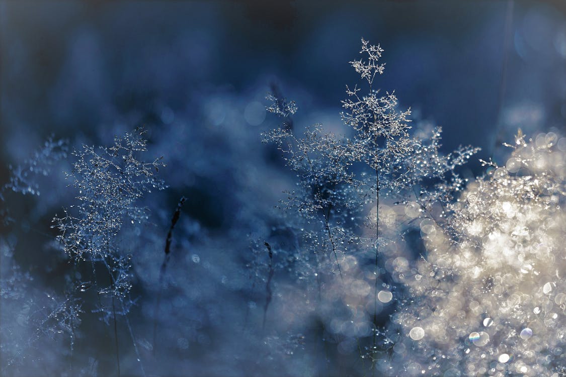 水晶
