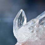 Starbrary Quartz Crystal Point ”Starburst"  Zeca de Souza mine in Minas Gerais, Brazil - 42g