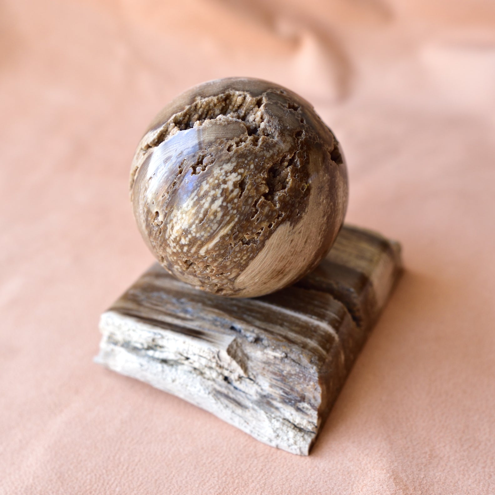 珪化木・スフィア　ペトリファイドウッド　Planets earth　ウクライナ産　535g
