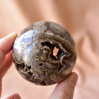 珪化木・スフィア　ペトリファイドウッド　Planets earth　ウクライナ産　535g