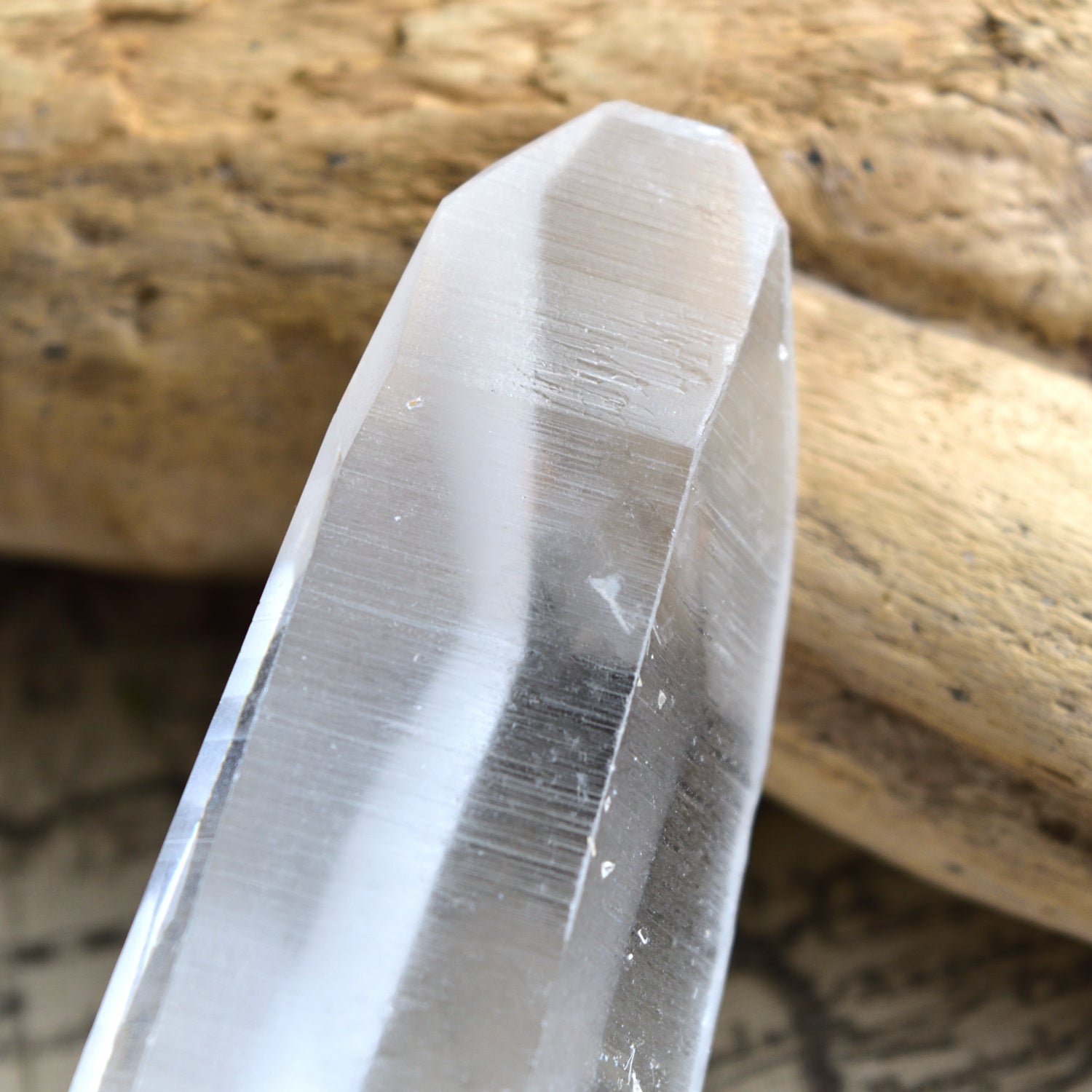 Lemurian Seed – Cathedral Cave
