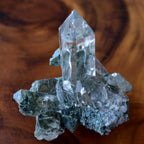 Himalayan Crystal, Chlorite, Rutile in Quartz "Omononushi no Okami" from Manihar, India, 178g / Crystal Cluster