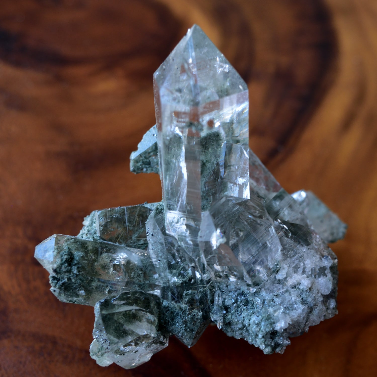 Himalayan Crystal, Chlorite, Rutile in Quartz "Omononushi no Okami" from Manihar, India, 178g / Crystal Cluster