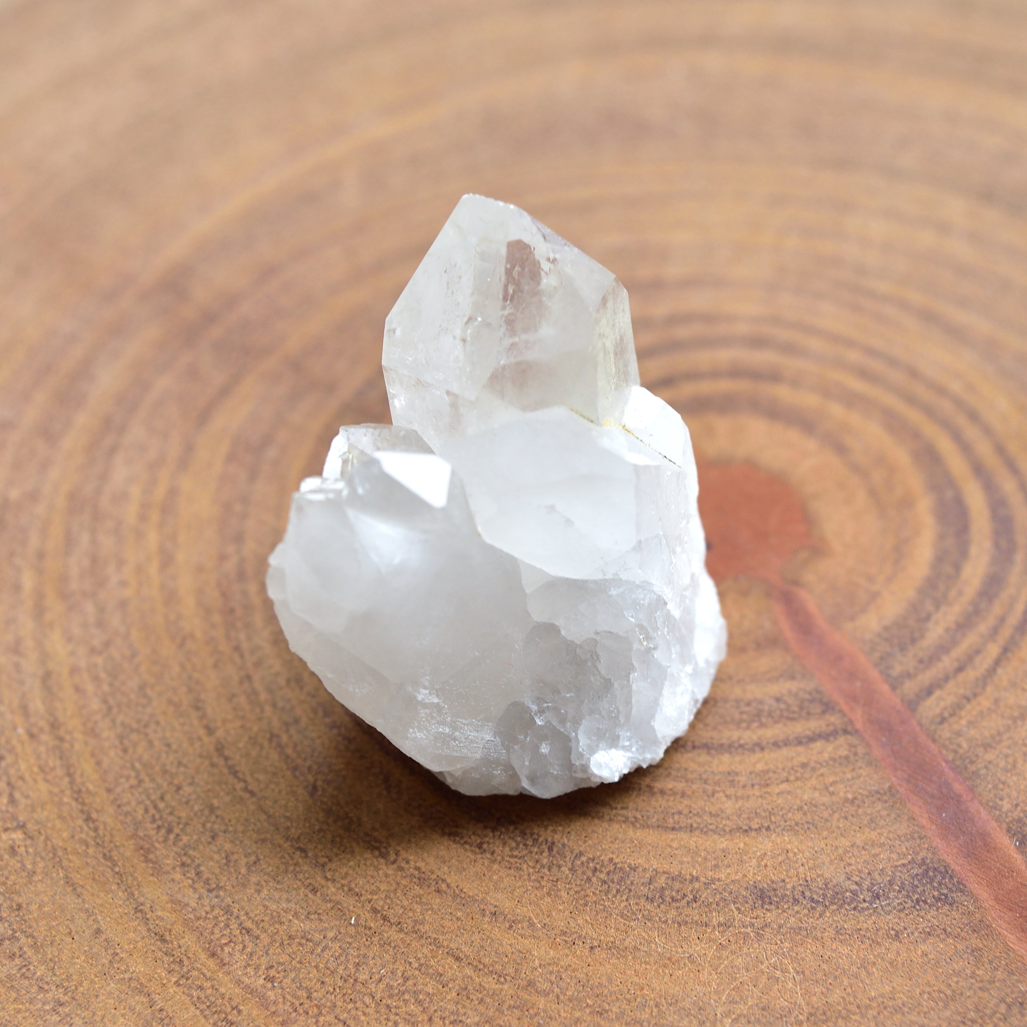 ロシアン・ウラル・レムリアン・クラスター　Soul Seed　ロシア・南ウラル産　24g