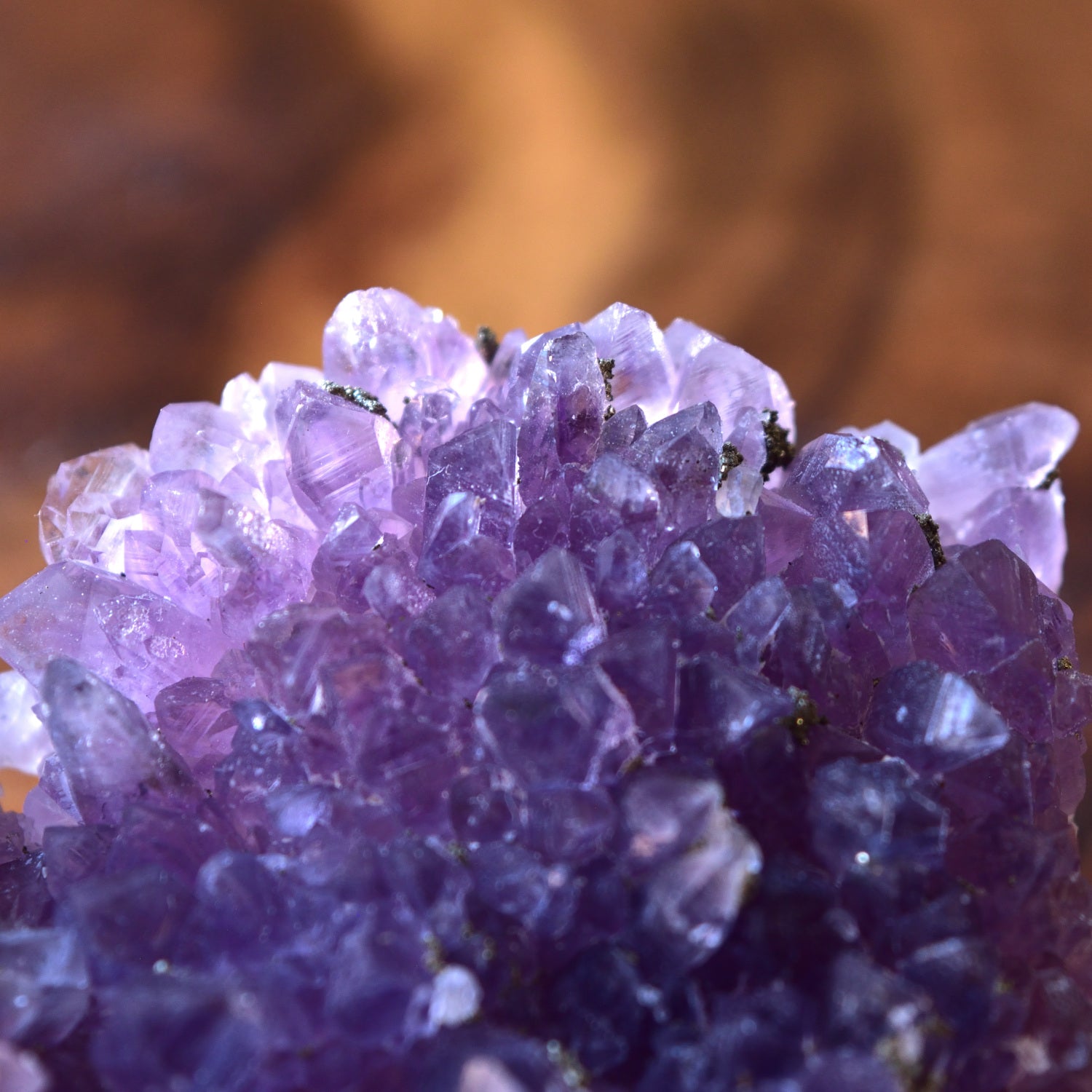 アメジスト・クラスター　パイライト　フラワーアメジスト　ブルガリア産　51ｇ