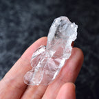 ゼカジソウザ・クォーツ　Starbrary Seed　Zeca de Souza　セルフヒールド水晶　ブラジル・ミナスジェライス州産　14g