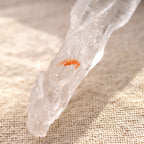 Lemurian Seed, Lemurian Root Quartz, Pure Ray Singing Crystal, from Bahia, Brazil, 60g/Point Crystal
