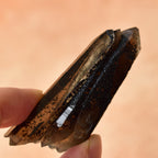 スモーキークォーツ　スチェゴマイト　両剣水晶　カテドラル・クラスター　ポーランド産　22g