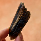 スモーキークォーツ　スチェゴマイト　両剣水晶　カテドラル・クラスター　ポーランド産　22g