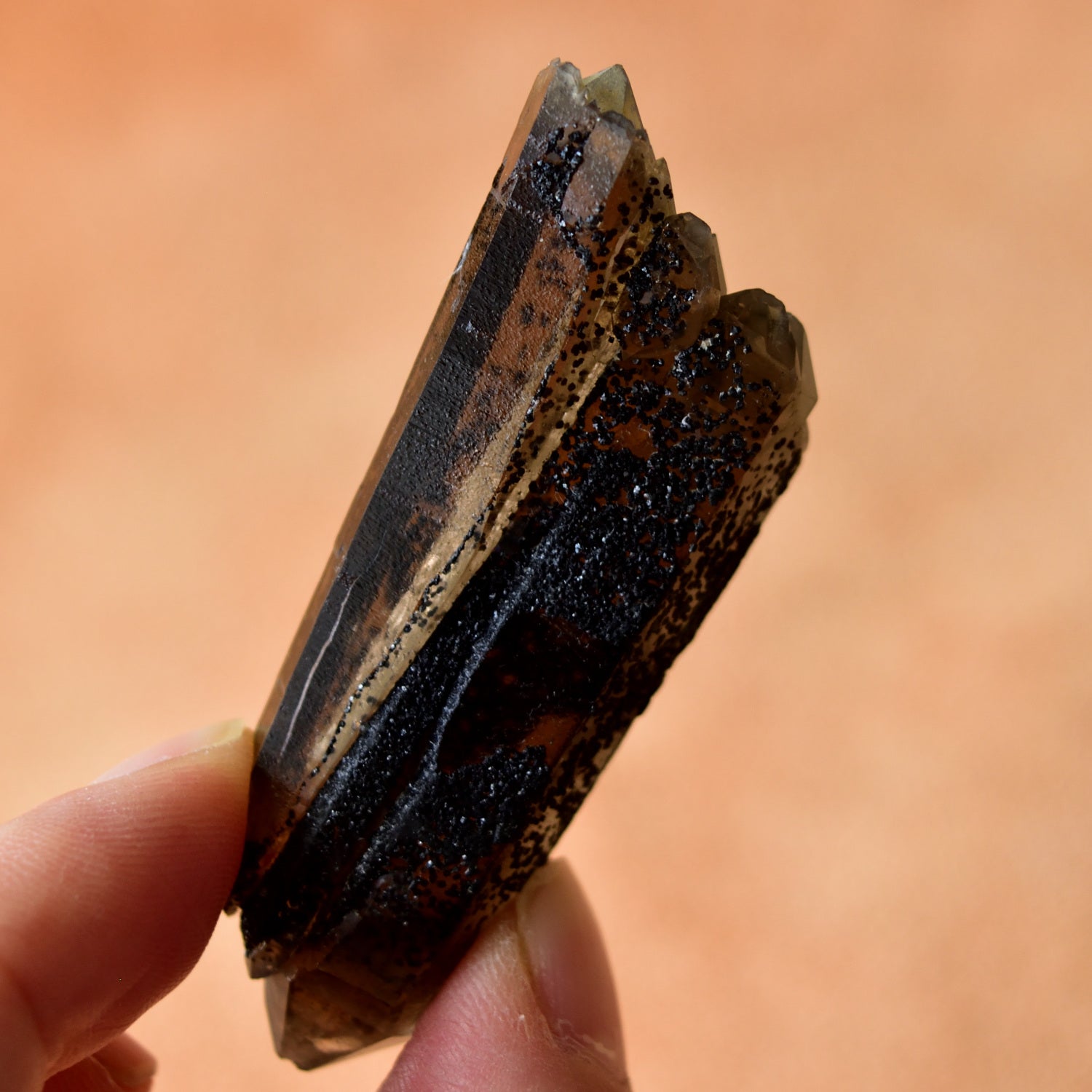 スモーキークォーツ　スチェゴマイト　両剣水晶　カテドラル・クラスター　ポーランド産　22g