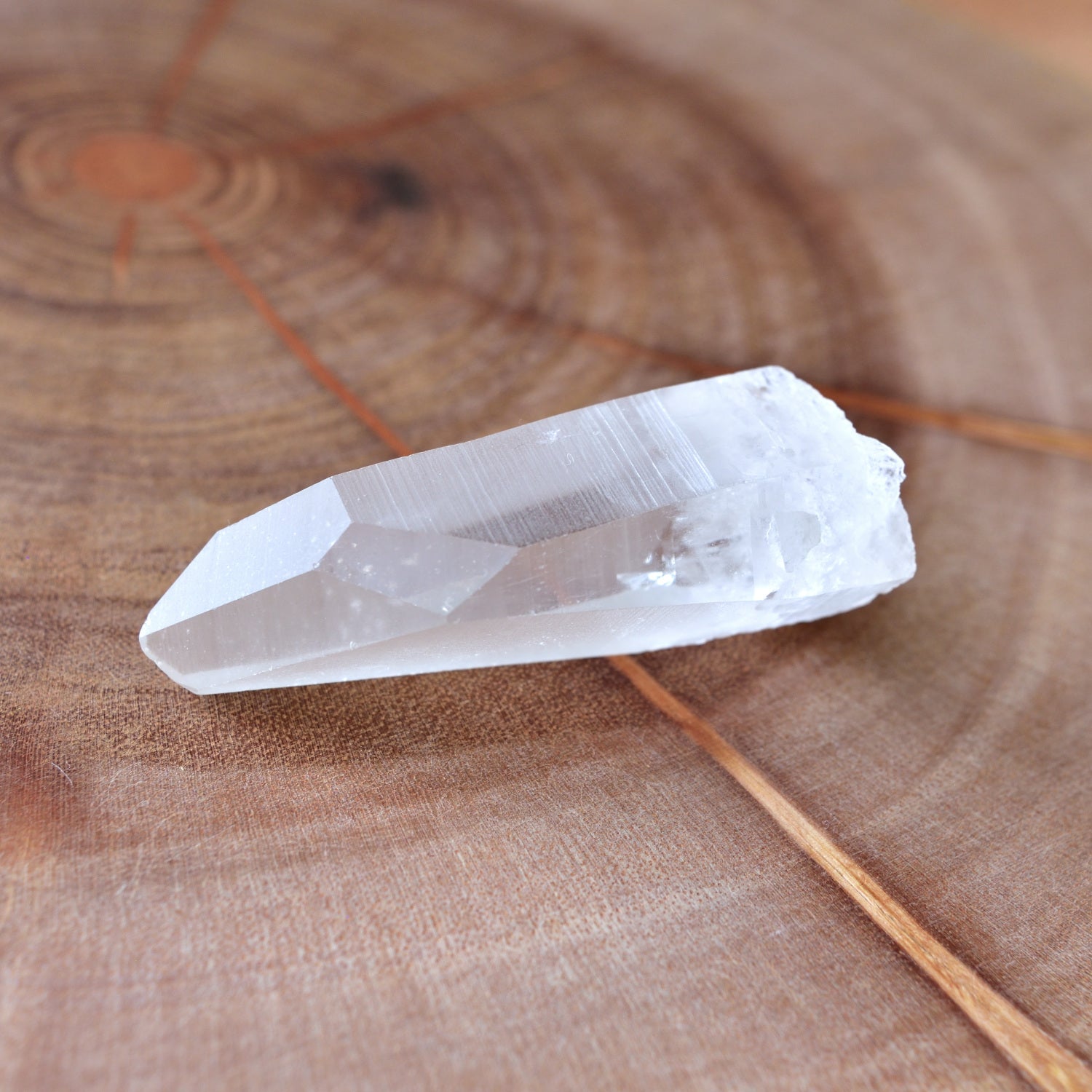 Lemurian Seed BAHIA – Cathedral Cave