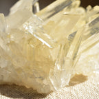 Arkansas Quartz Cluster "Atlantis Twilight" Golden Healer from Arkansas, USA - 148g