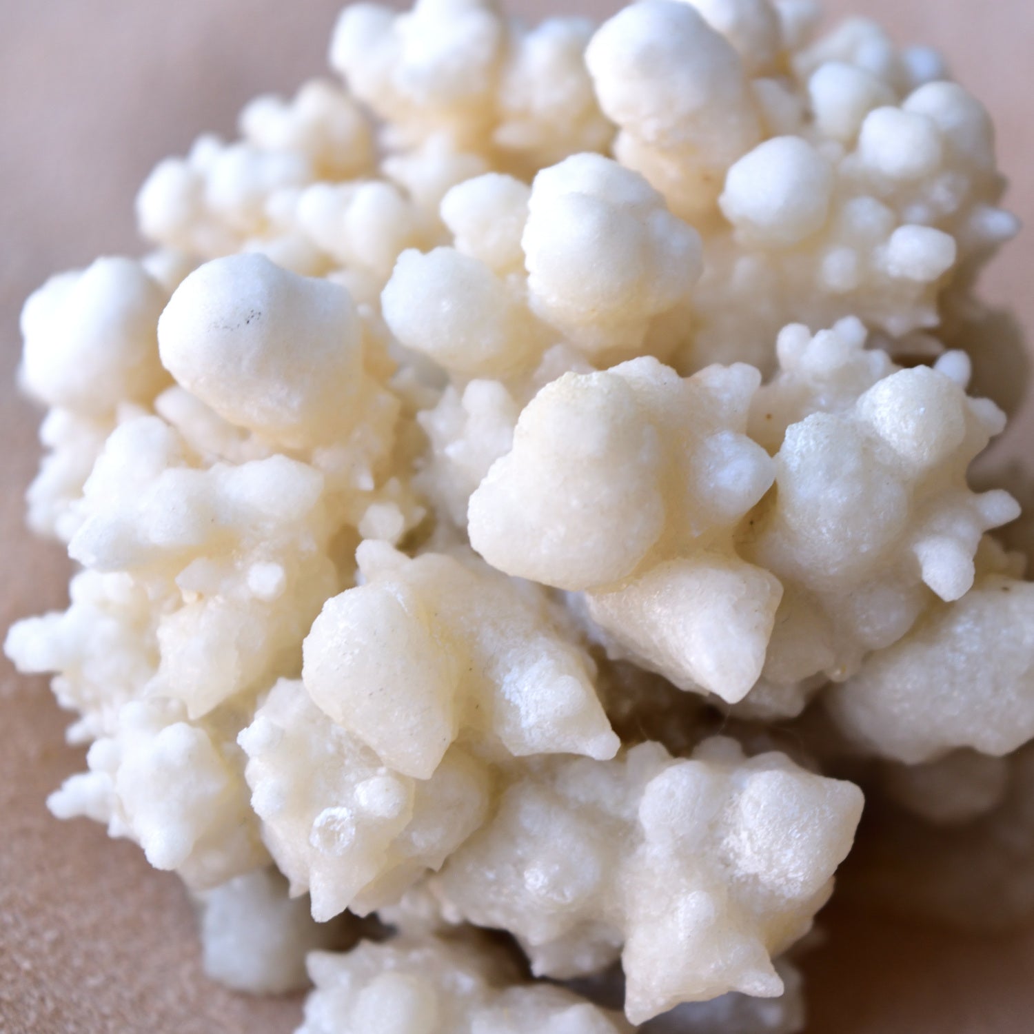 フラワー・カルサイト　ホワイトカルサイト・クラスター　中国雲南省産　301g