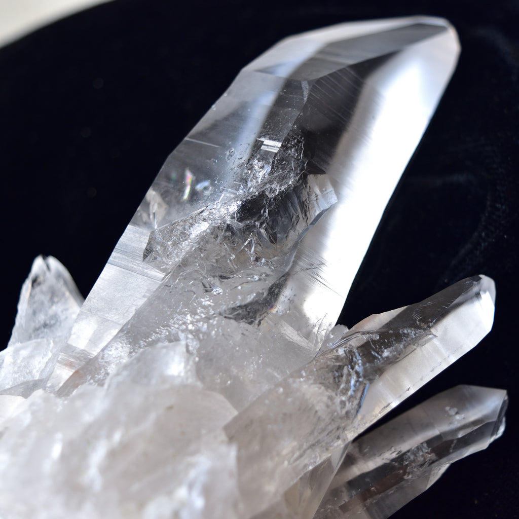 レムリアンシード・クラスター　Pure Ray　ブラジル・バイーア州産　224g