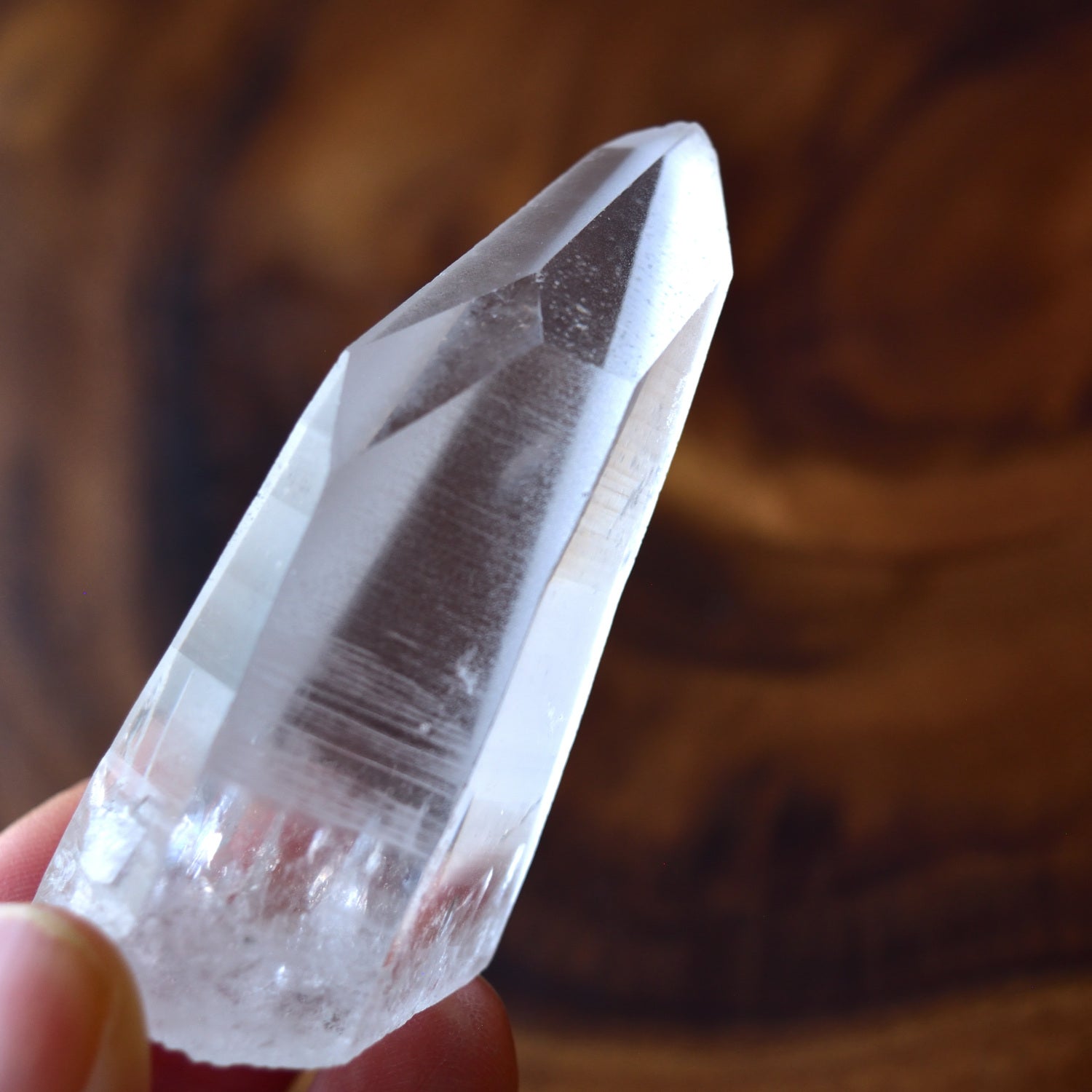 Lemurian Seed BAHIA – Cathedral Cave