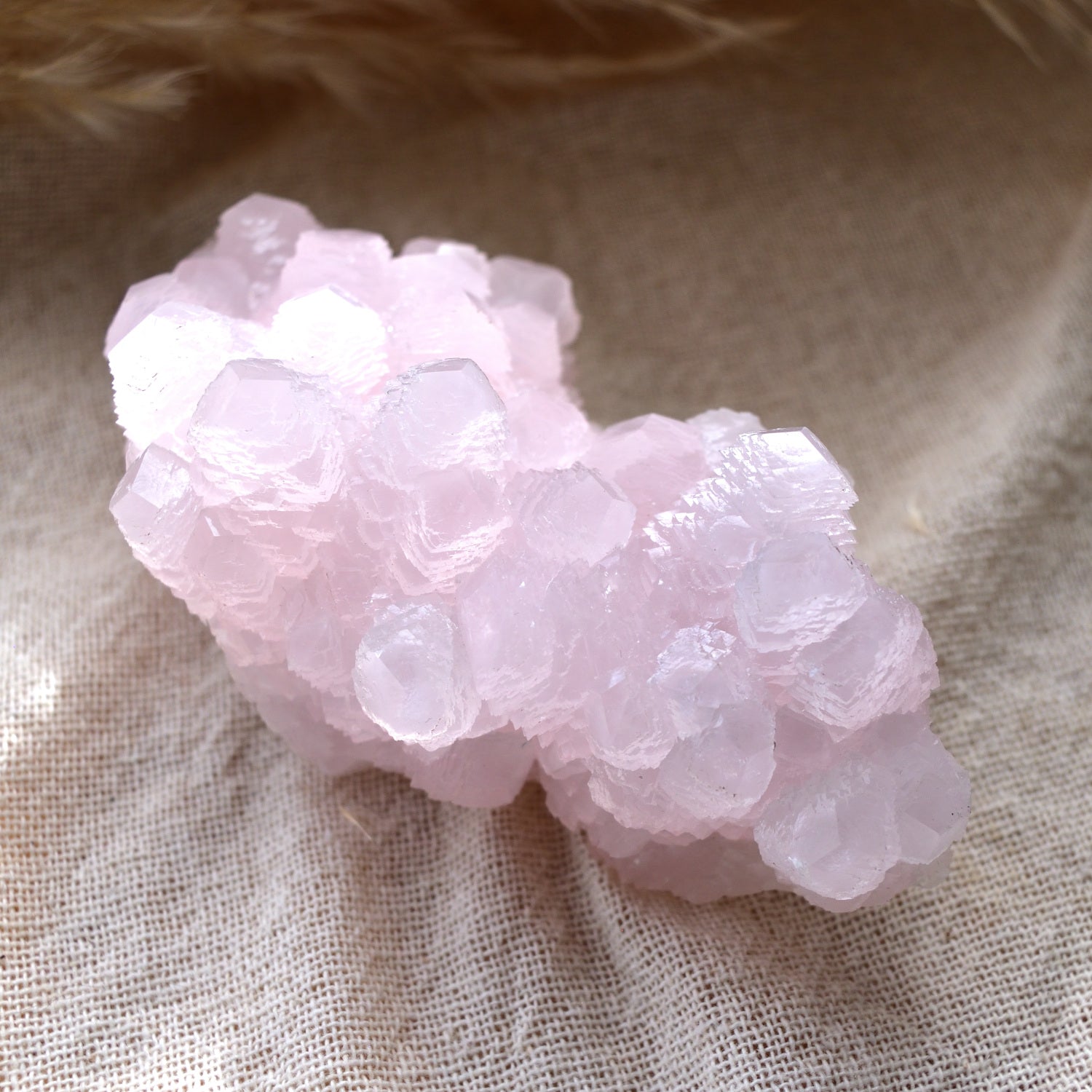 Pink Mangano Calcite - Fluorescent - "Sirius" - Madan, Bulgaria - 380g
