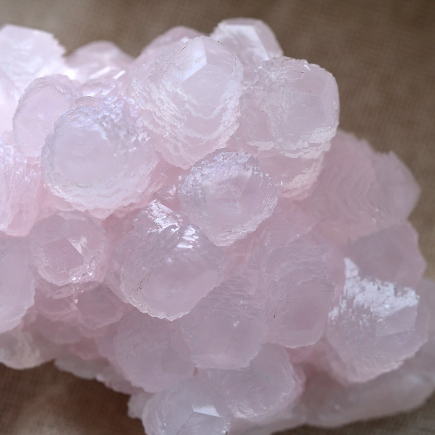 Pink Mangano Calcite - Fluorescent - "Sirius" - Madan, Bulgaria - 380g