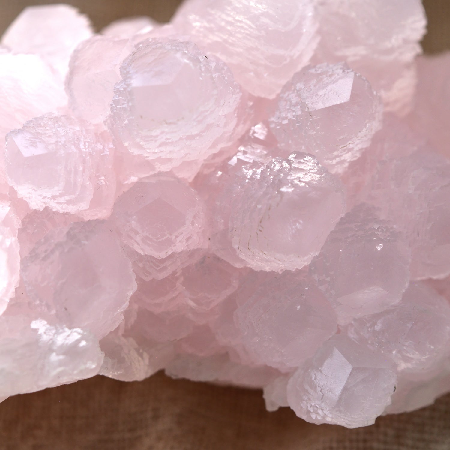 Pink Mangano Calcite - Fluorescent - "Sirius" - Madan, Bulgaria - 380g