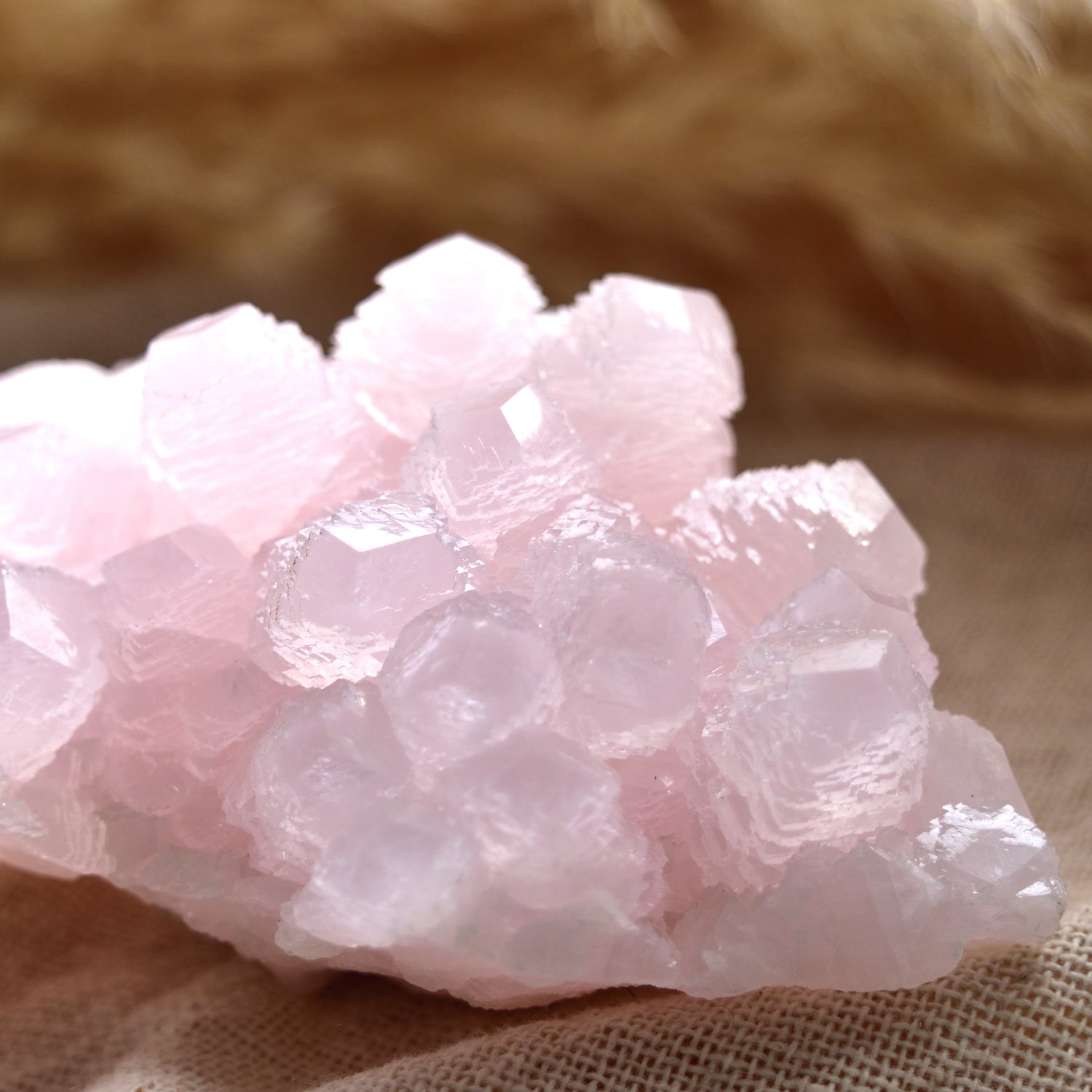 Pink Mangano Calcite - Fluorescent - "Sirius" - Madan, Bulgaria - 380g