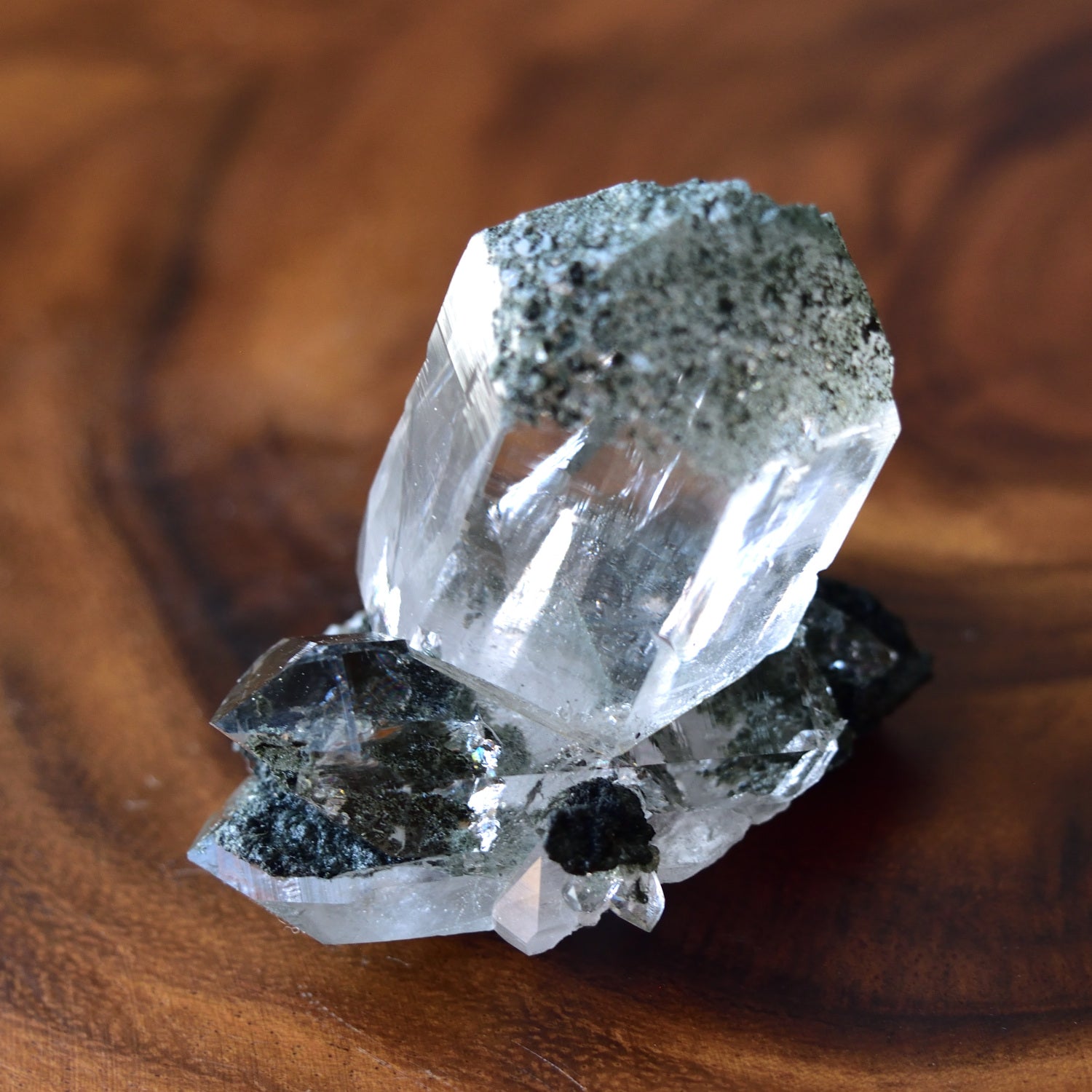 ヒマラヤ水晶 クローライト レコードキーパー インド・マニハール産