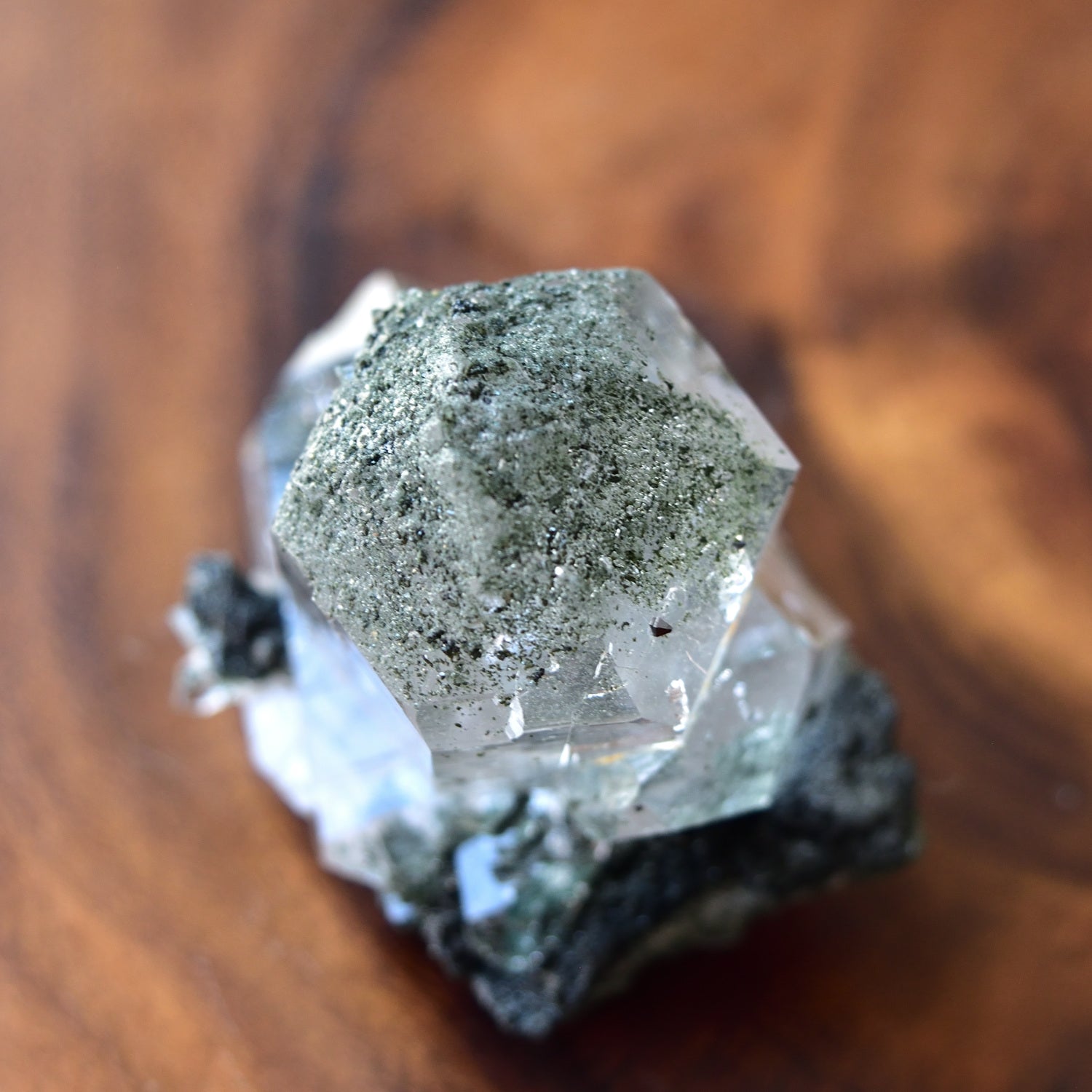 ヒマラヤ水晶 クローライト レコードキーパー インド・マニハール産