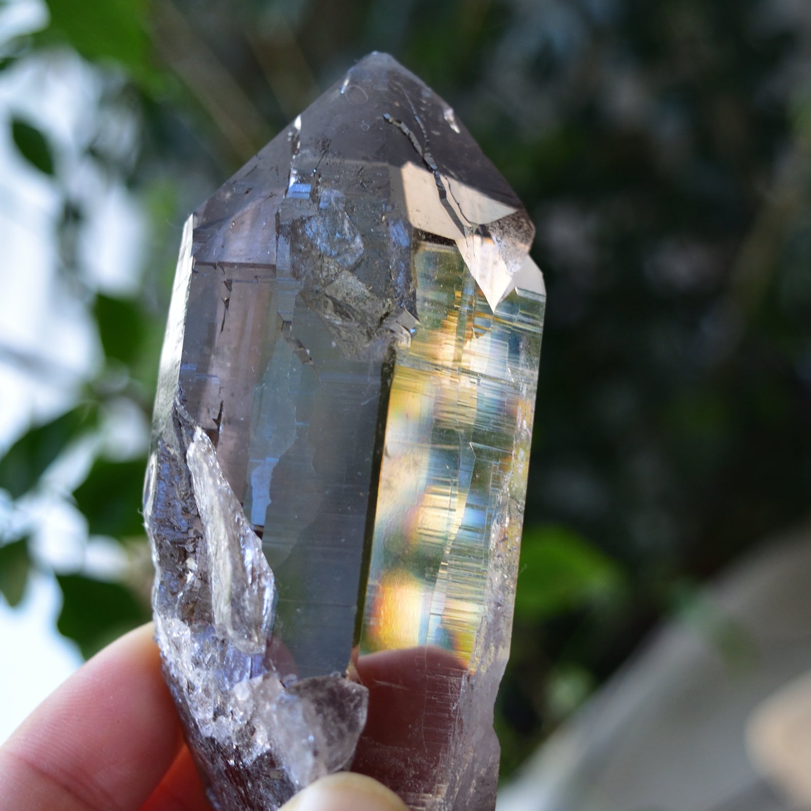 スモーキークォーツ アルプス水晶 VORTEX スイス産 182g – Cathedral Cave