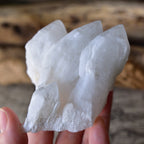 Mt. Sobo Candle Quartz Cluster – Singing Crystal – White Phantom – Takachiho, Miyazaki, Japan – 206 g Quartz – Certificate of Origin