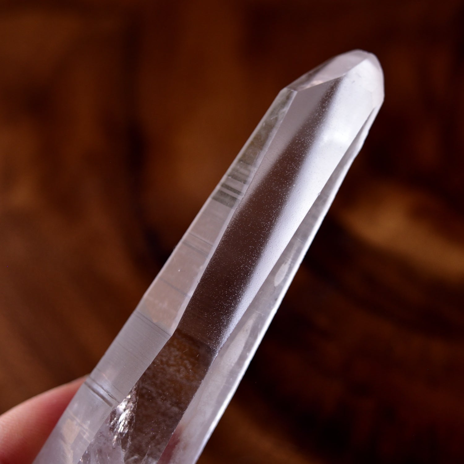 レムリアンシード　タビー　ブラジル・バイーア州産　42g