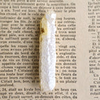 Bosnian White Scepter Candle Quartz "White Serpent" from Bosnia and Herzegovina, 19g
