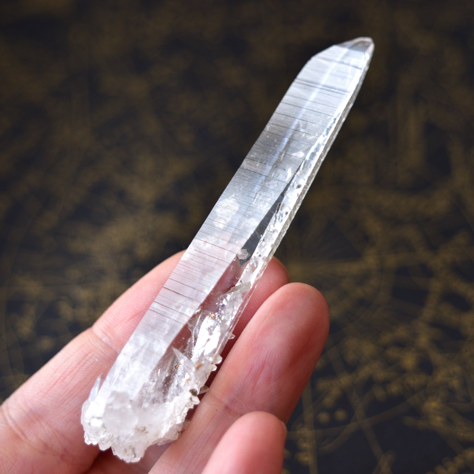 Columbian Lemurian - Barnacle - Muzo, Colombia, 22g