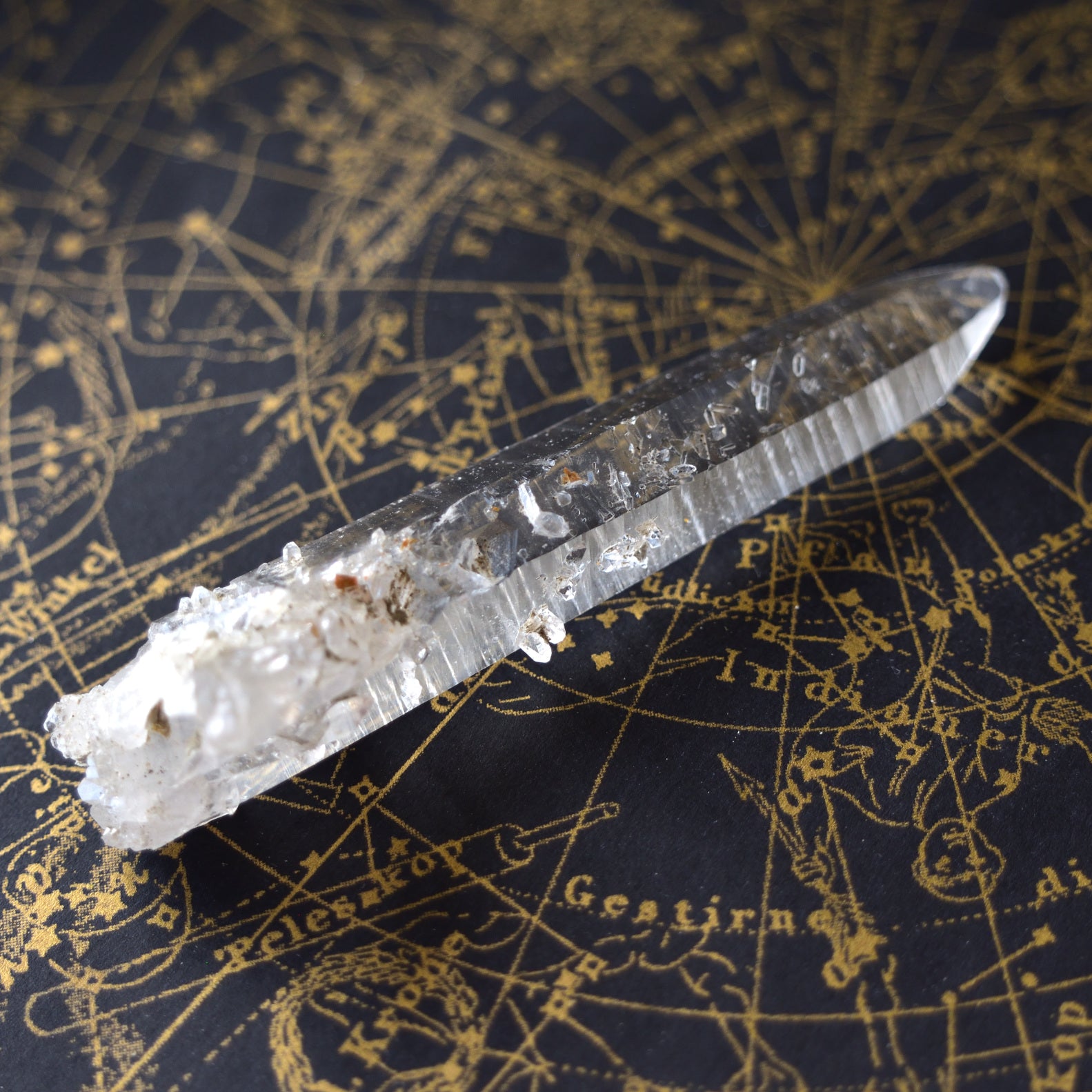 Columbian Lemurian - Barnacle - Muzo, Colombia, 22g