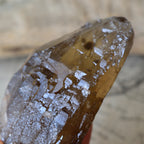 スモーキー・シトリン　Surubim Quartz　セルフヒールド　大地の癒し　ブラジル・ミナスジェライス州産　360g