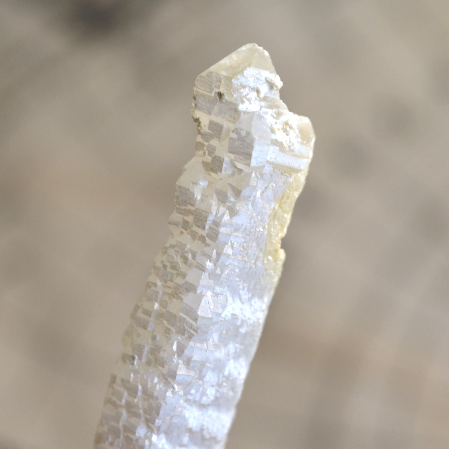 Bosnian White Scepter Candle Quartz "White Serpent" from Bosnia and Herzegovina, 19g