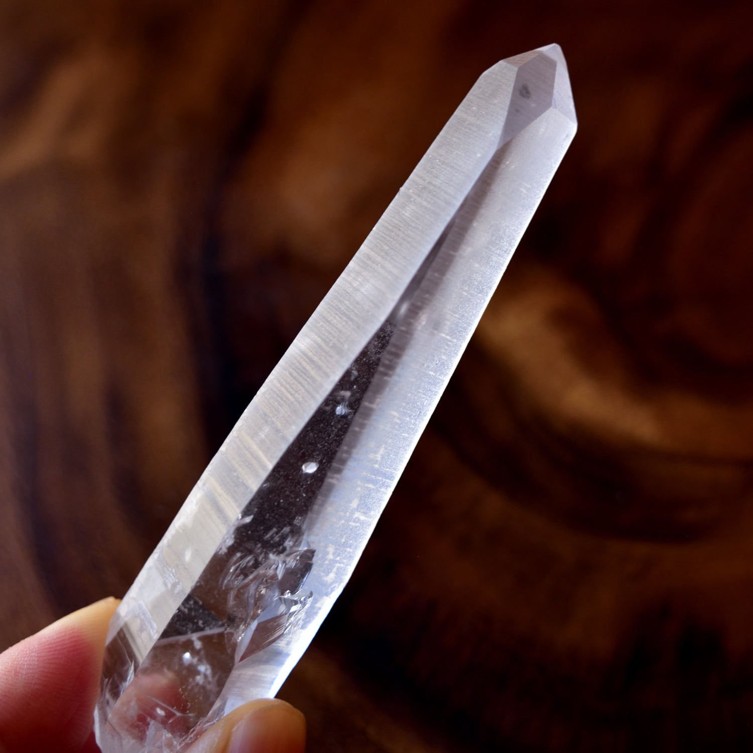 Lemurian Seed BAHIA – Cathedral Cave