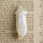 Bosnian White Scepter Candle Quartz Point "White Dragon's Head" from Bosnia and Herzegovina, 31g