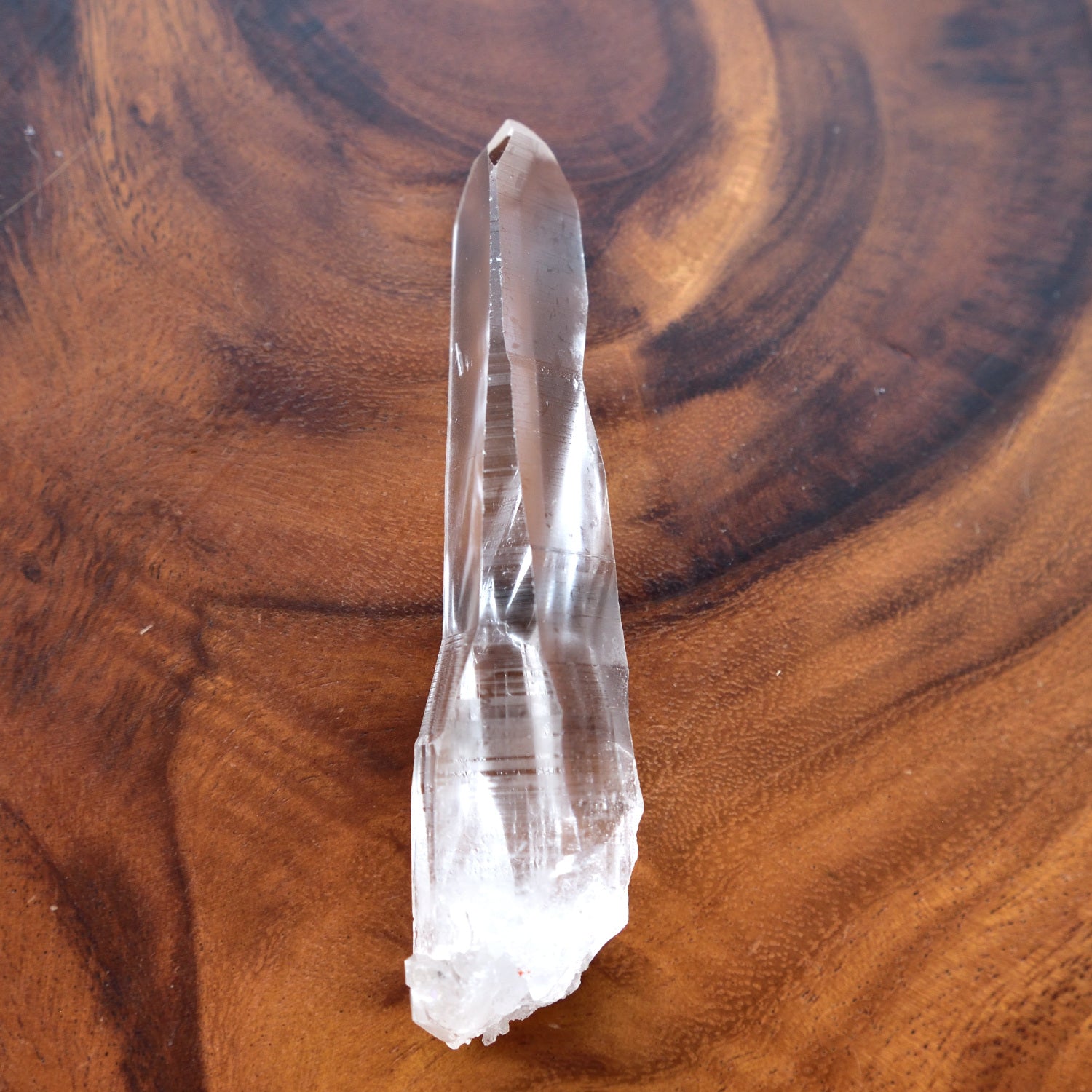 Lemurian Seed BAHIA – Cathedral Cave