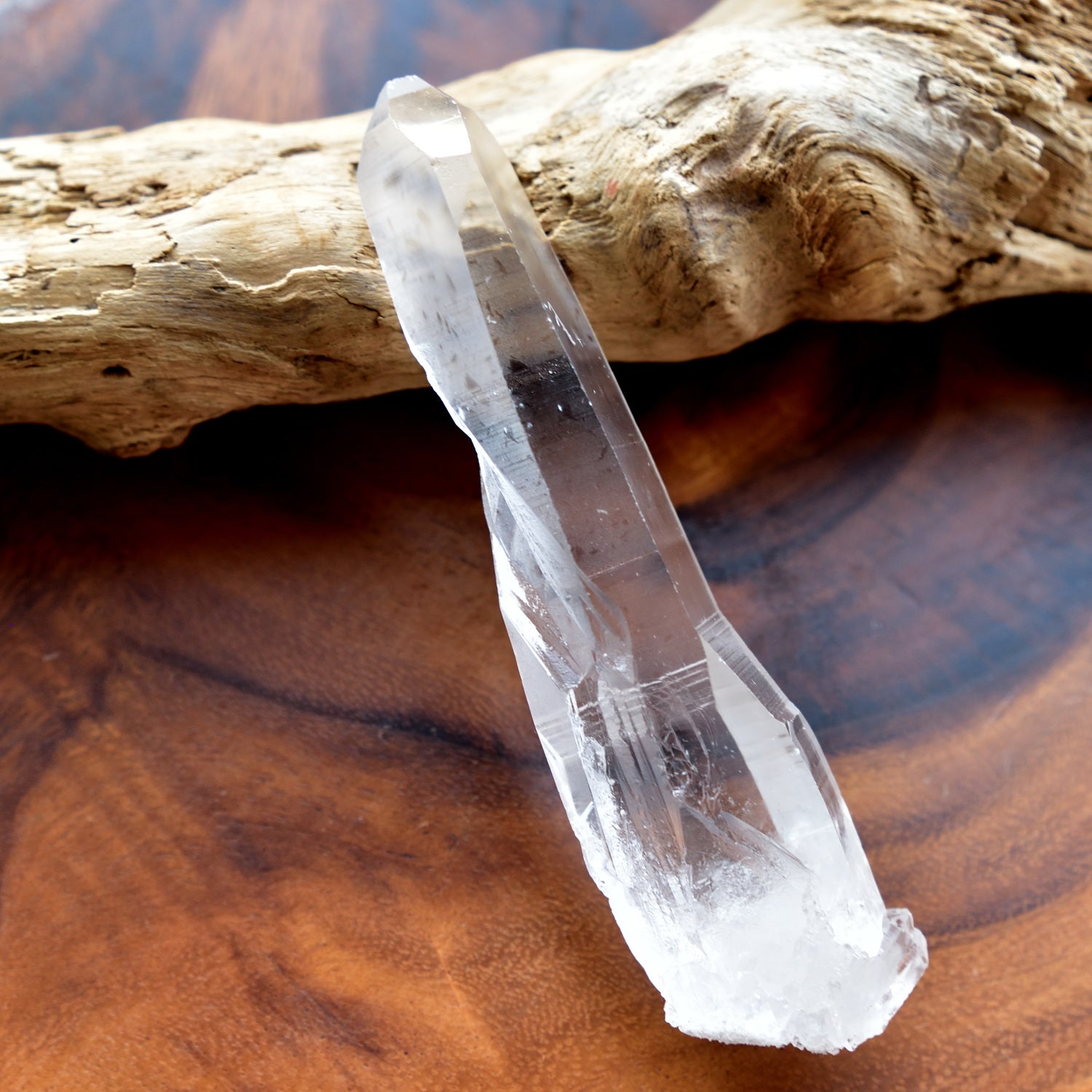 Lemurian Seed Lemurian Root Quartz Pure Ray from Bahia, Brazil 98g/Point Crystal