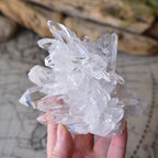 Starbrary Quartz Cluster  "Starburst"  Zeca de Souza mine in Minas Gerais, Brazil, 407g