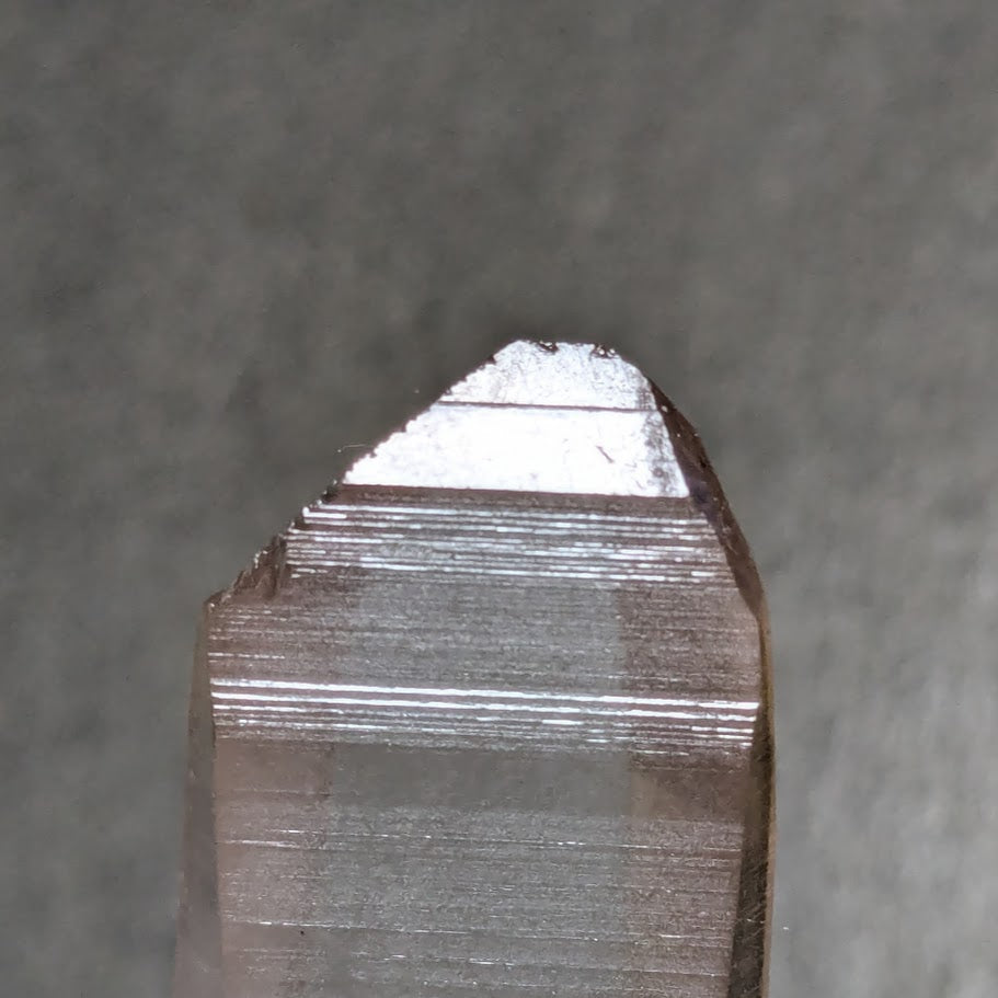 Lemurian Seed, Lemurian Root Quartz, Pure Ray Singing Crystal, from Bahia, Brazil, 60g/Point Crystal