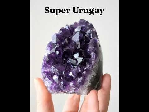 ウルグアイ・アメジスト・クラスター　ベースポリッシュ　ウルグアイ産　573ｇ