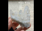 デンドライト・イン・クォーツ・クラスター　両剣水晶　White Light Wing　ポルトガル・パナスケイラ産　56ｇ